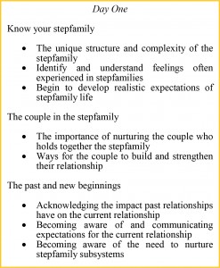 not the brady bunch box 2